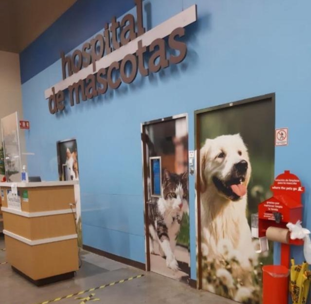 Sierra Madre Hospital Veterinario San Agustín, San Pedro Garza García