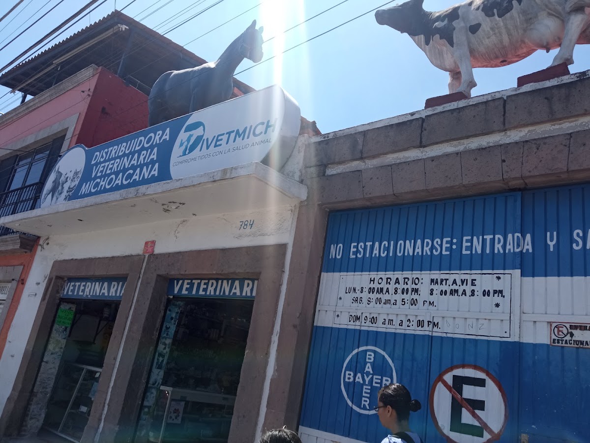 Distribuidora Veterinaria Michoacana, Centro Histórico