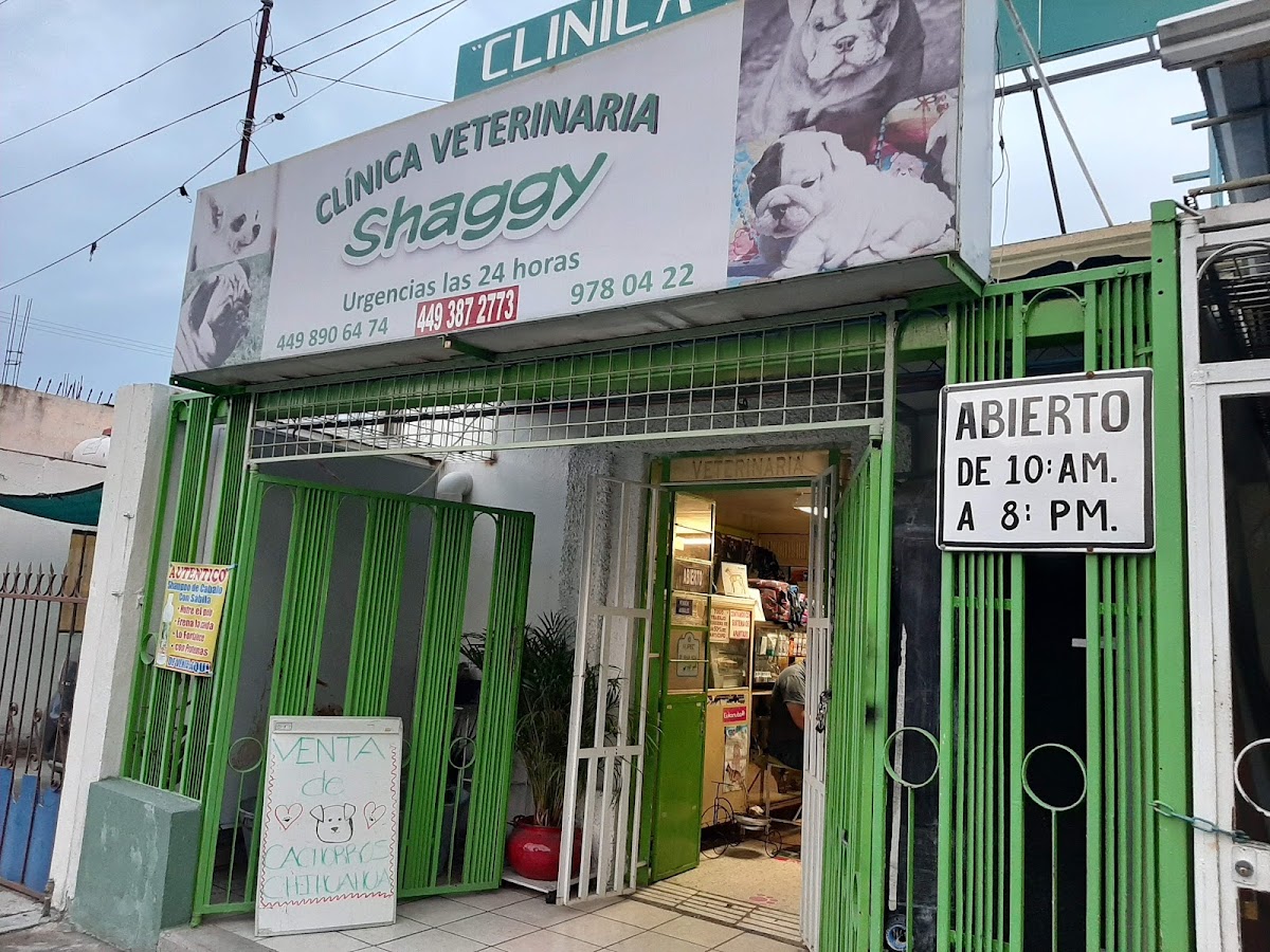 Clínica Veterinaria Shaggy, Sur