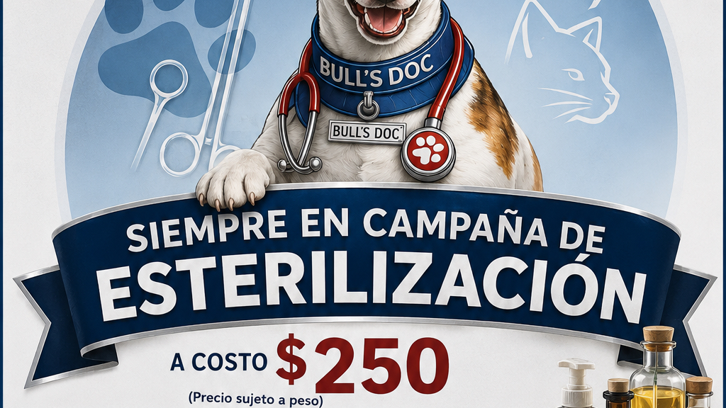 Bull's Doc Clinica Veterinaria, Cholula