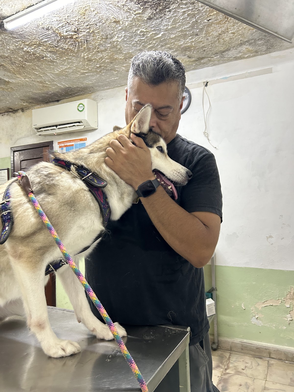 Clínica Veterinaria "Mundo Animal", Centro de Mérida