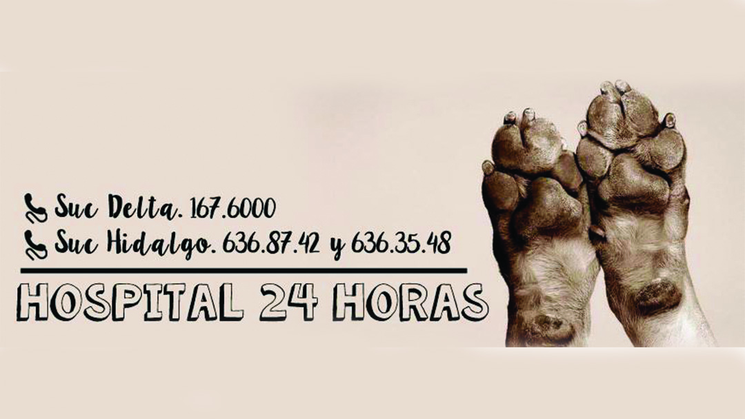 Robin Haus Suc Hidalgo, Otras zonas