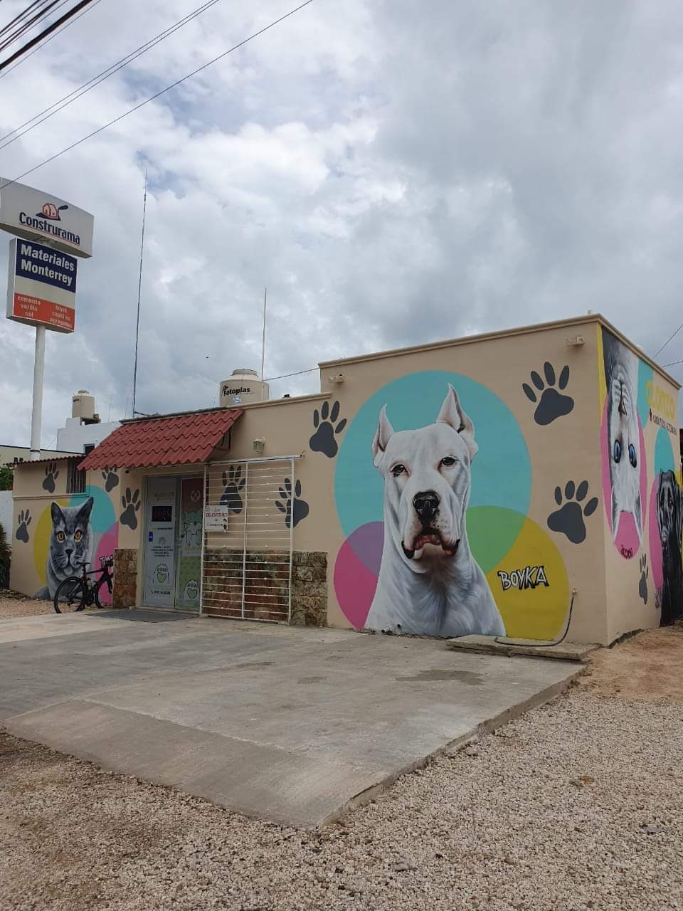 Alonzo Consultorio Veterinario, Otras zonas