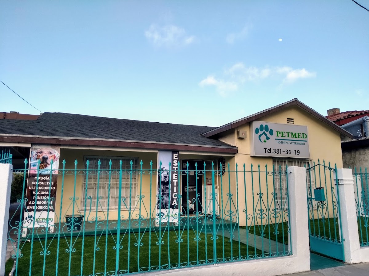 Hospital Veterinario Petmed, Otras zonas