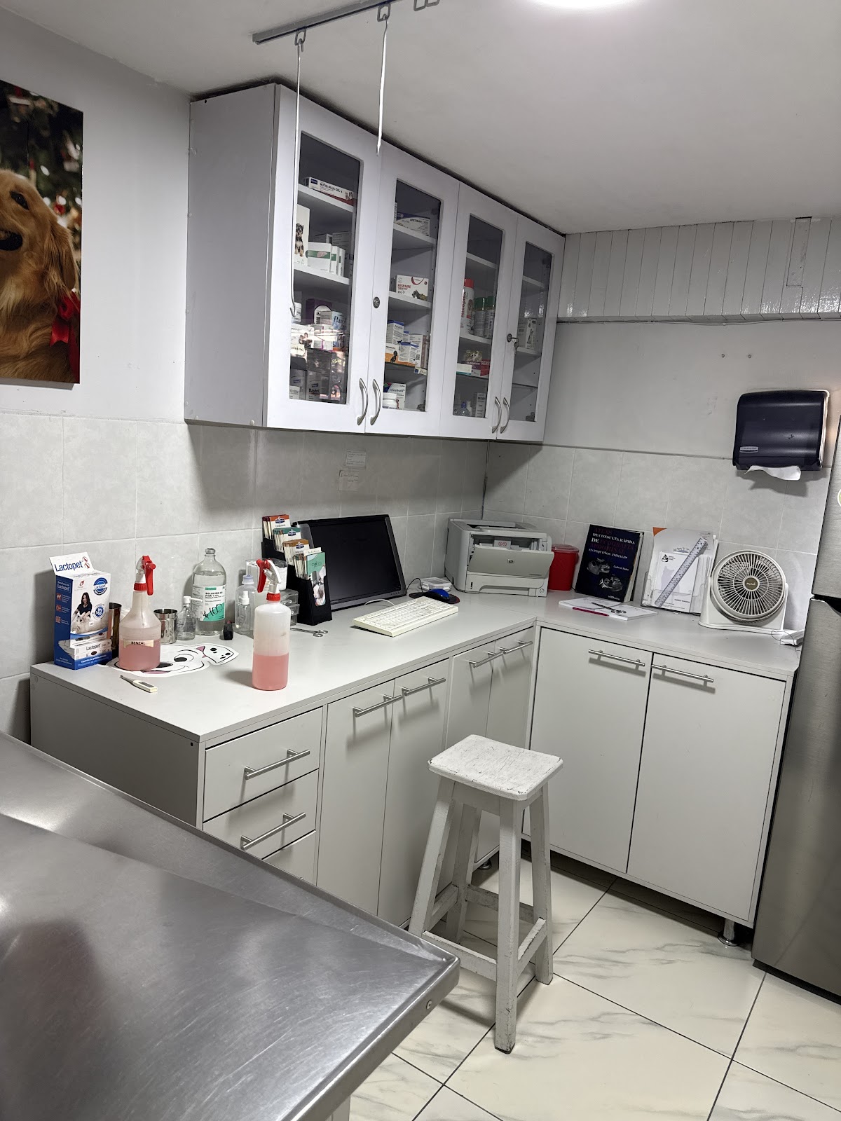 Animal Medical Center, Zapopan