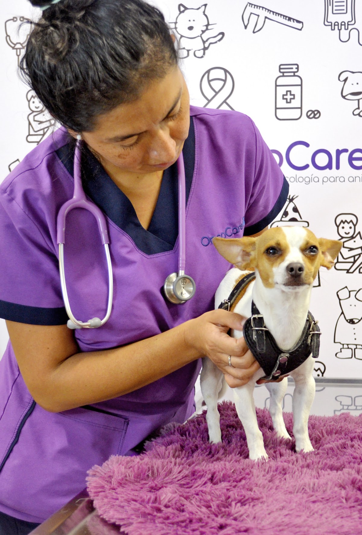 Oncología Veterinaria OncoCare Polanco, Polanco