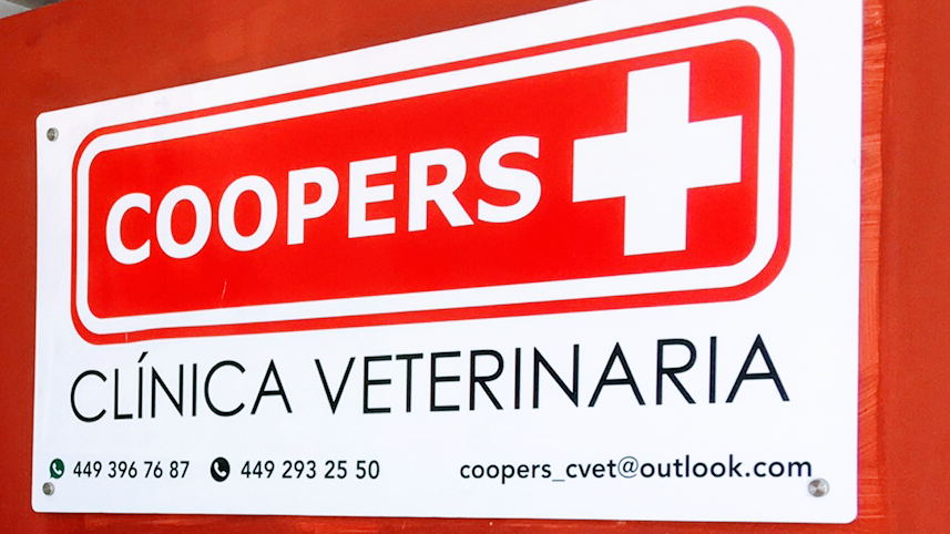 Coopers Clínica Quirúrgica Veterinaria, Otras zonas