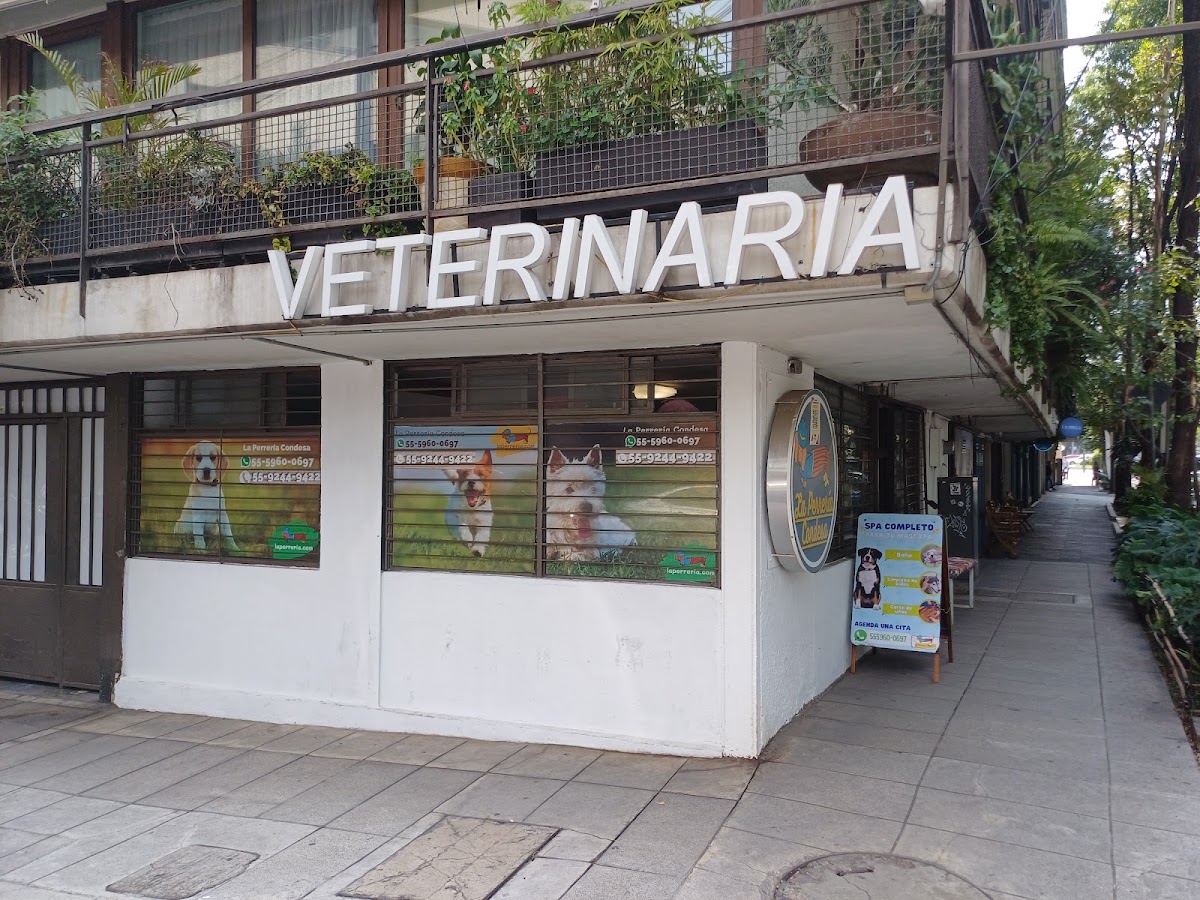 Cardiología Veterinaria Condesa, Condesa