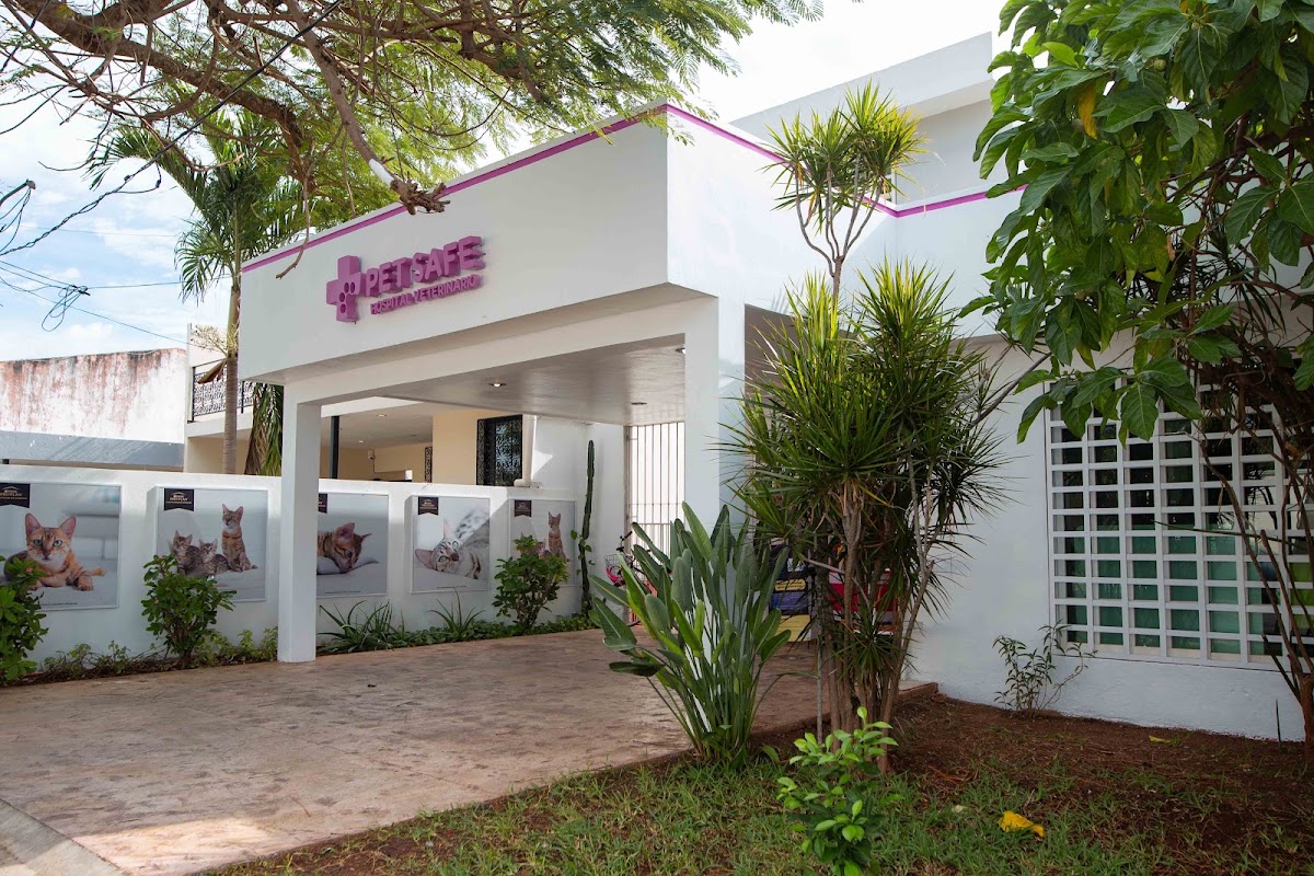 Pet Safe Mérida, Otras zonas