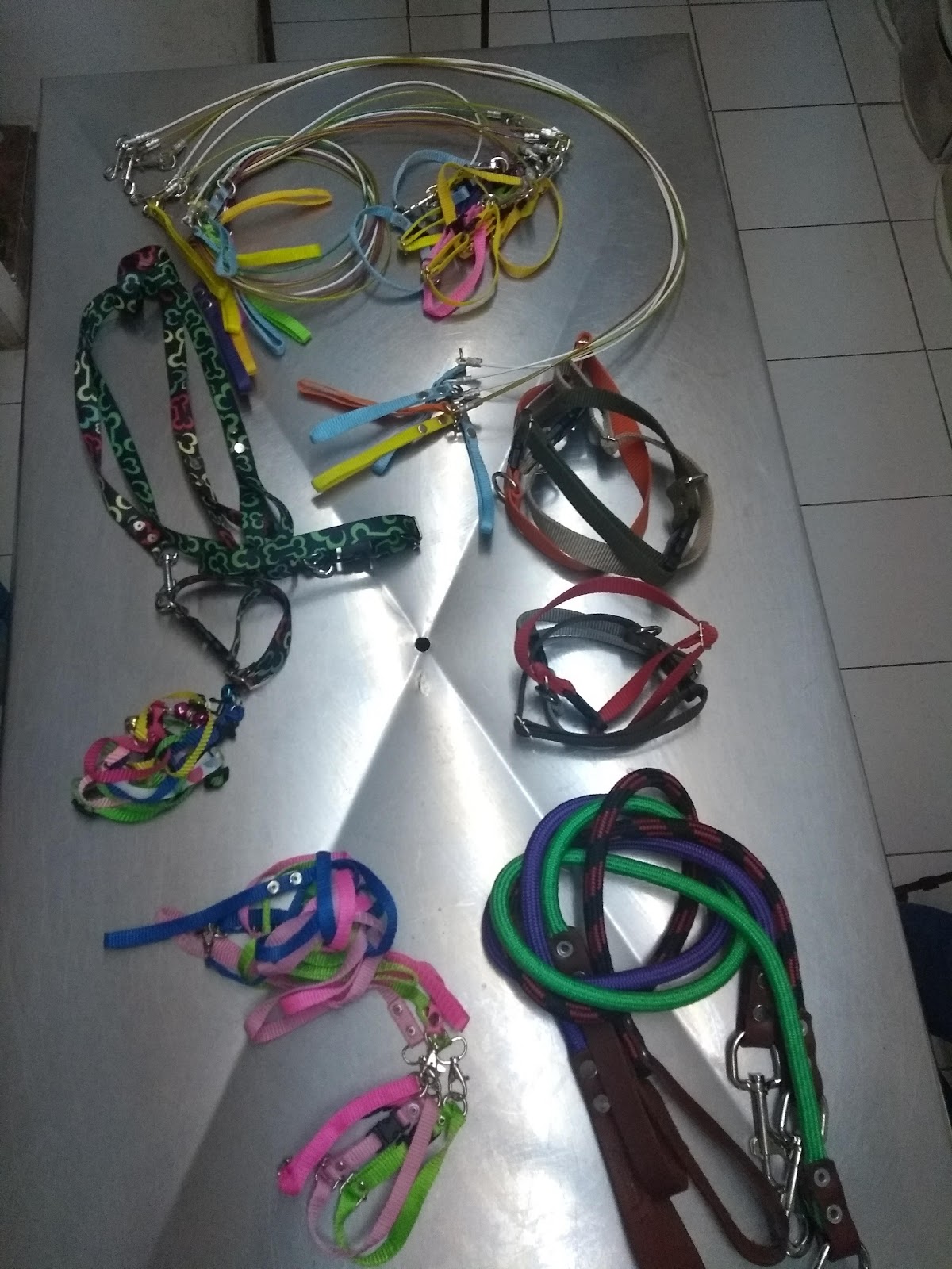 Clinica Veterinaria DEL Poniente, Otras zonas