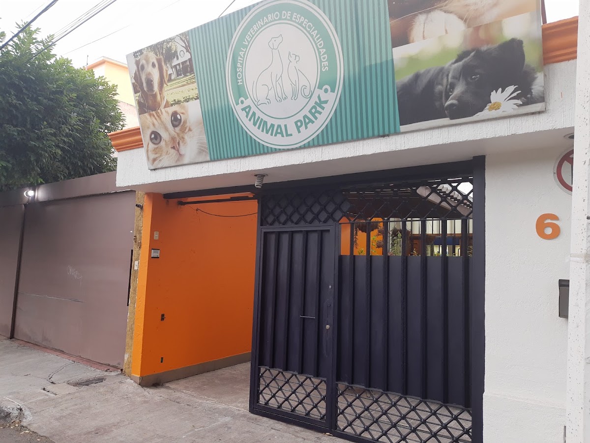 Animal Park hospital veterinario, Otras zonas