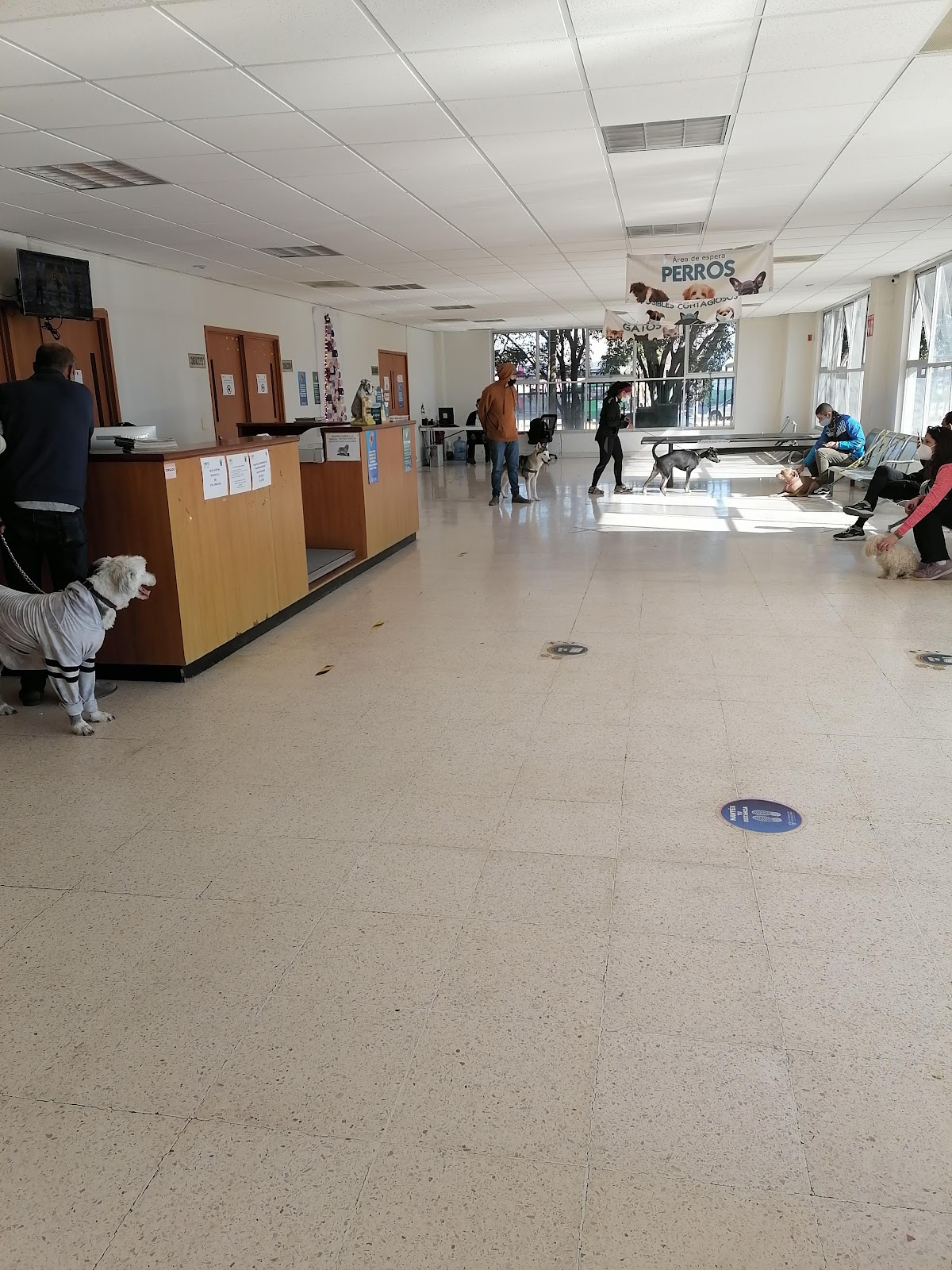 Hospital Veterinario de Pequeñas Especies, Zapopan