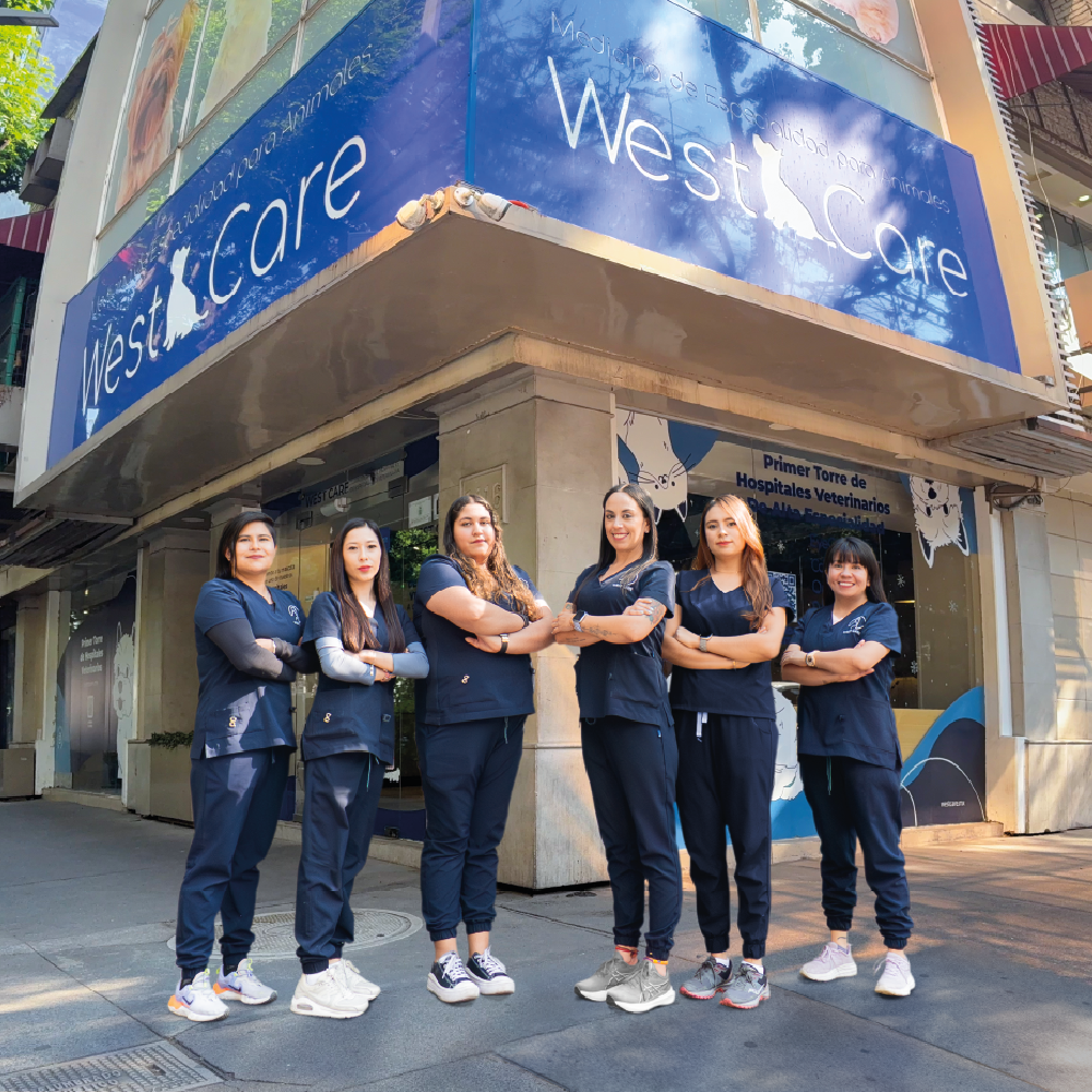 Hospital Veterinario WestCare Polanco, Polanco