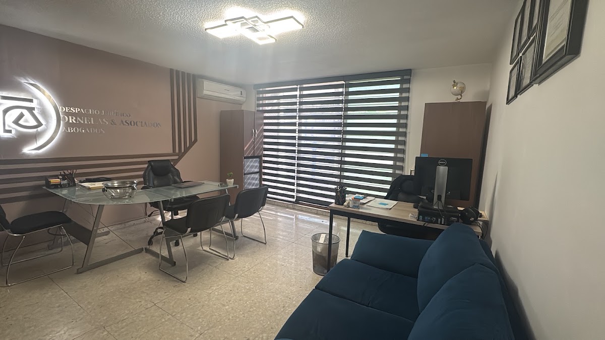Despacho Jurídico Ornelas y Asociados, Providencia