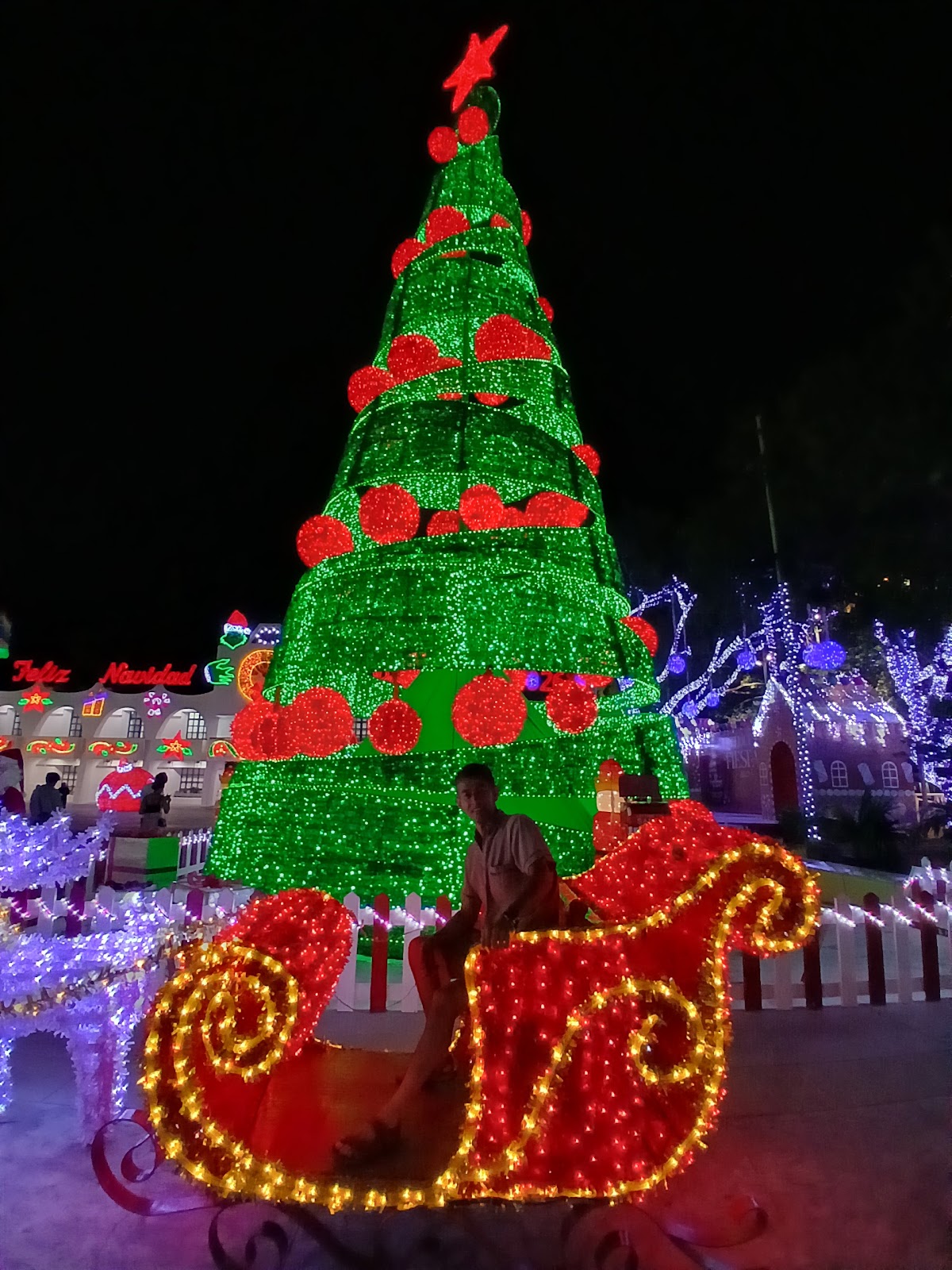 Centro de Cancún, Zona Hotelera