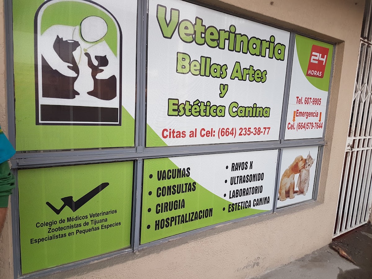 Veterinaria Bellas Artes, Otay