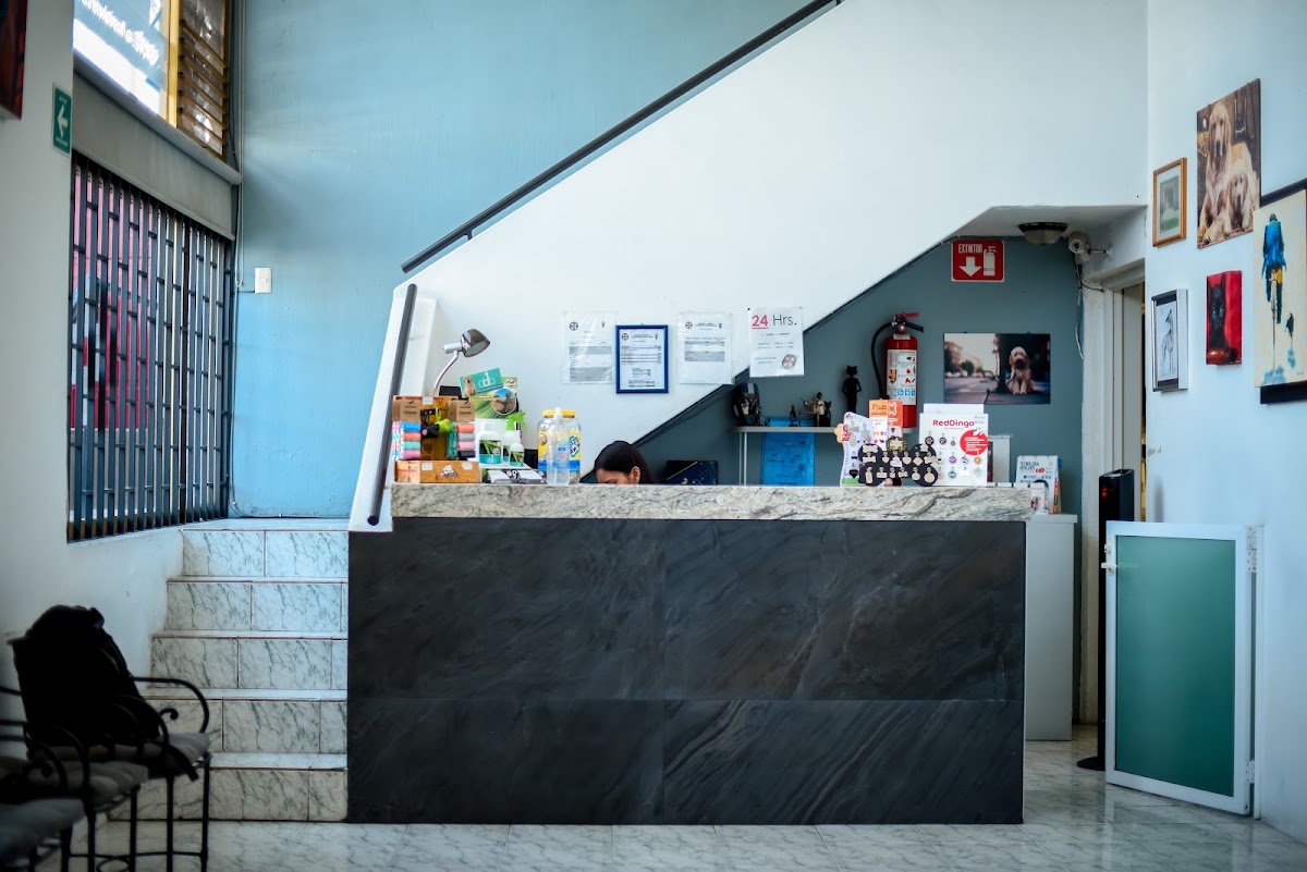 Hospital Veterinario Guadalajara, Otras zonas