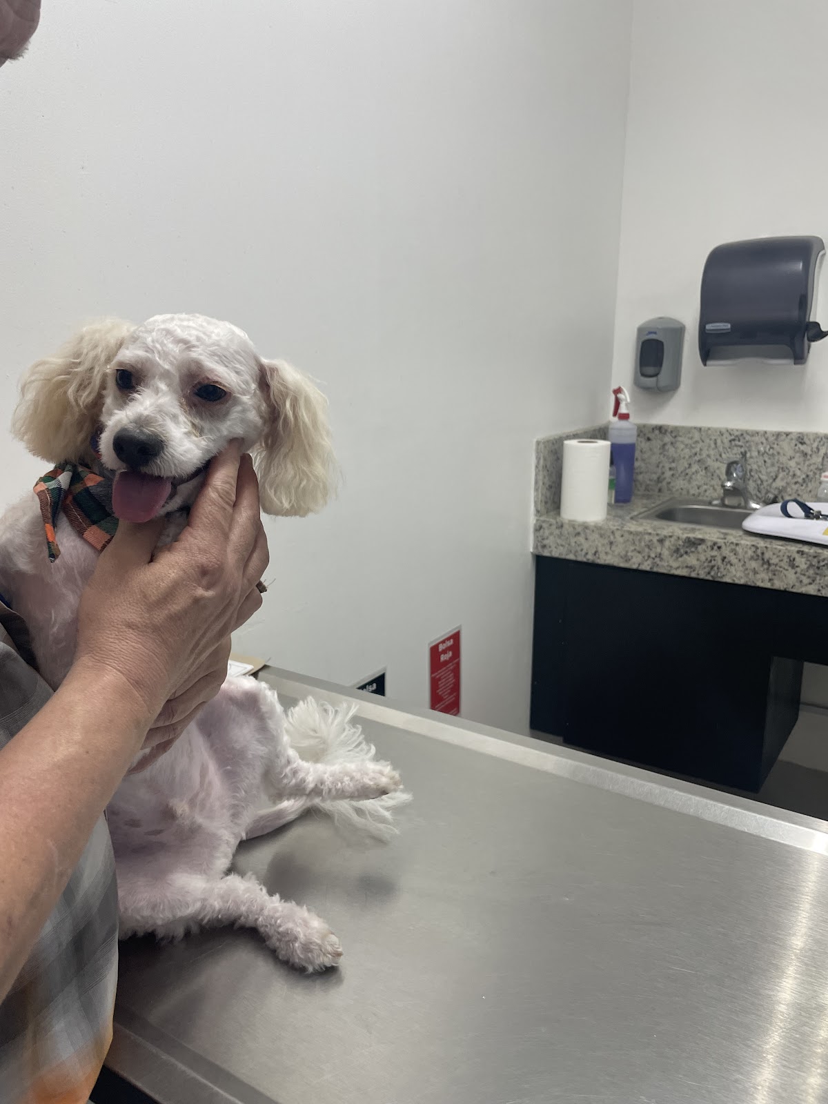 Villarreal Garza Hospital Veterinario, Otras zonas