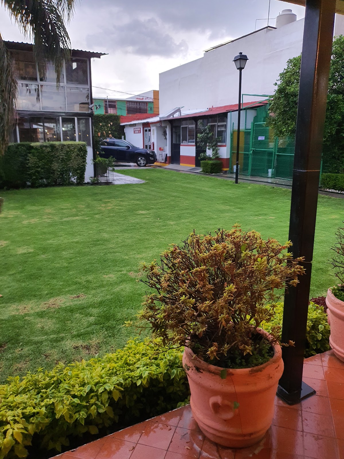 Hospital Veterinario de Cholula, Cholula