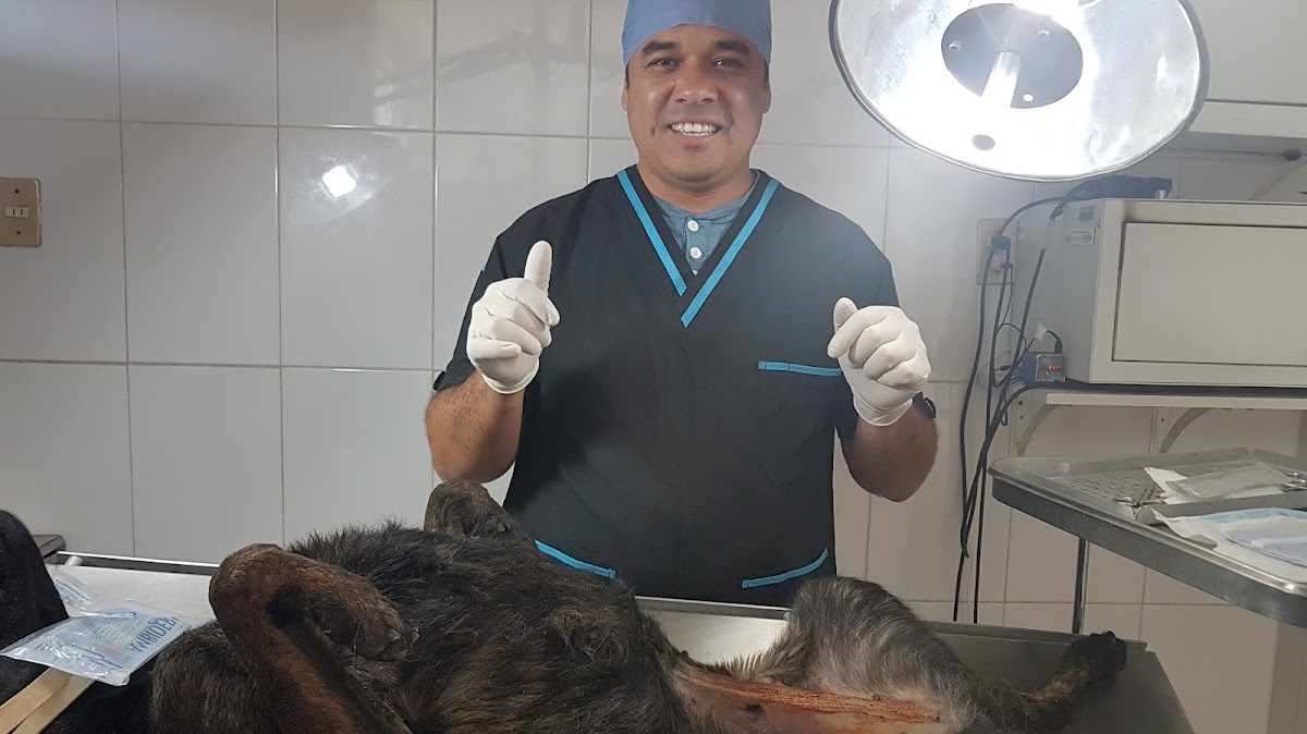 Veterinaria Doc. David Cerezoo, Otras zonas