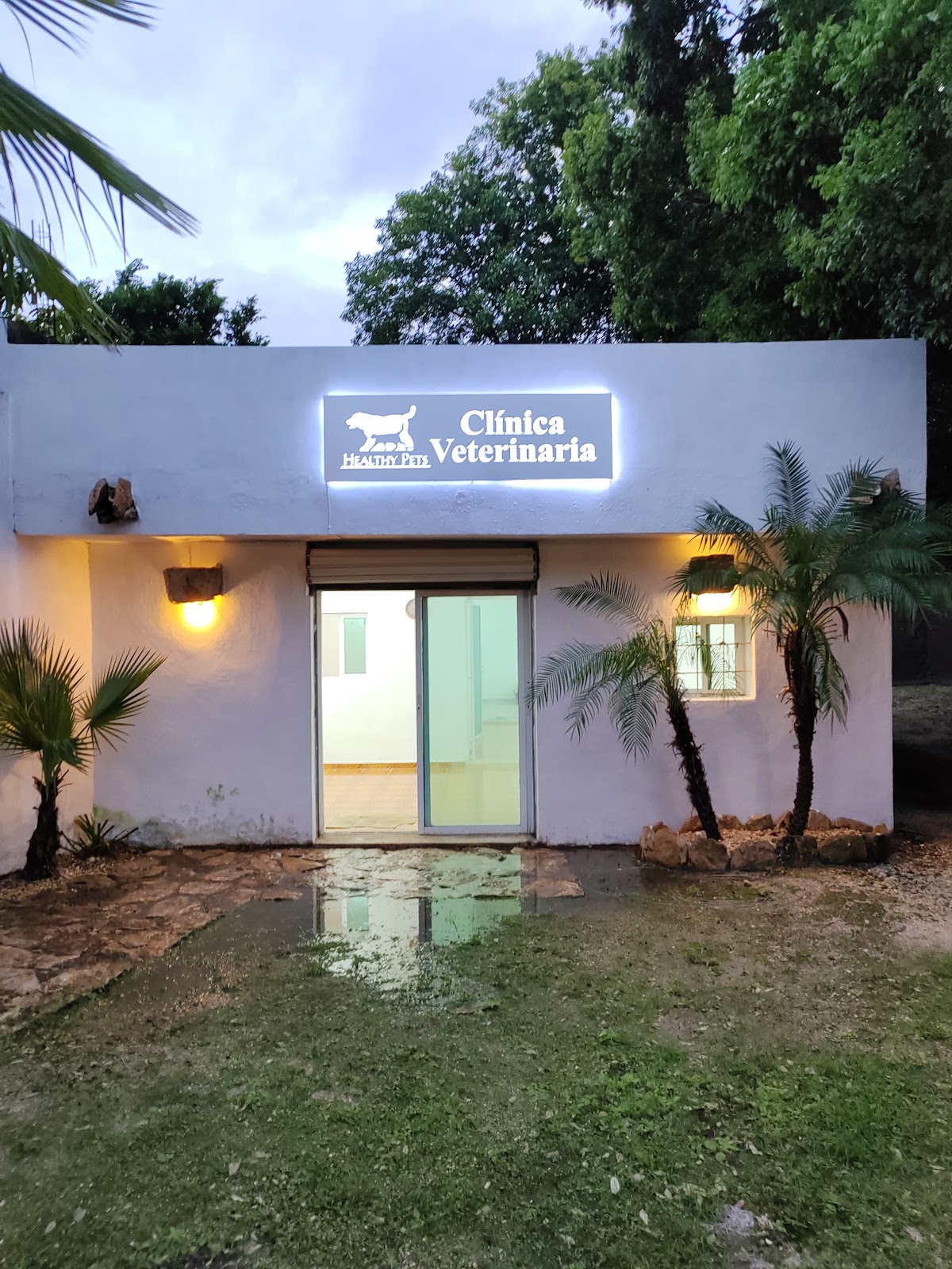 Healthy Pets Clínica Veterinaria, Cholul