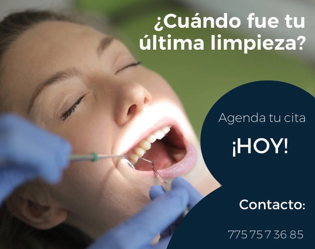 Dentista/Odontólogo/Especialista en Endodoncia/Consultorio Dental/Endodoncia, Otras zonas