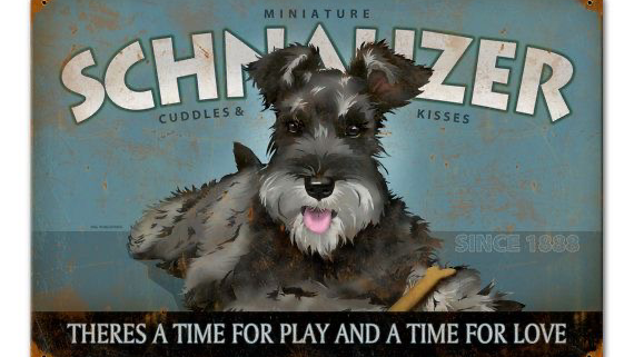 Clinica Veterinaria Paws, Otras zonas