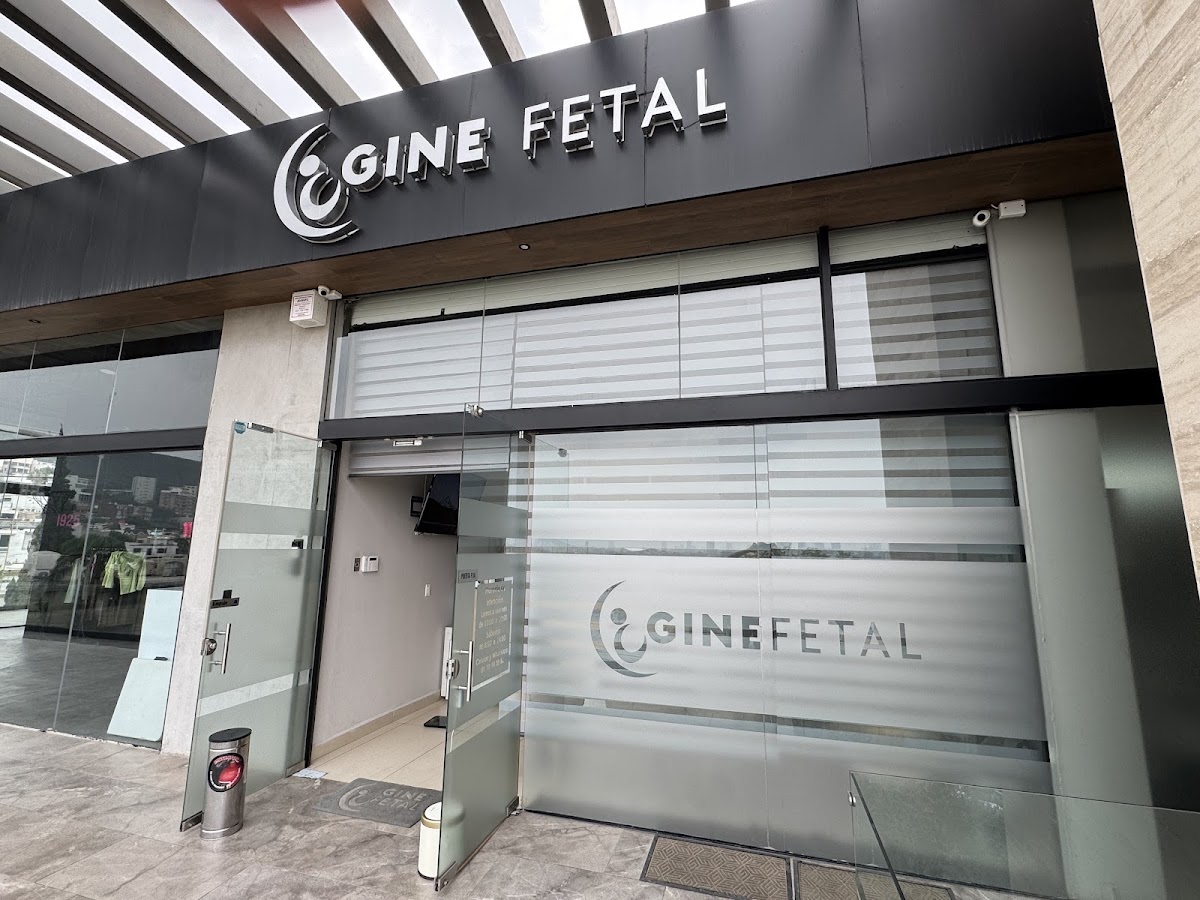 GINE FETAL, Cumbres