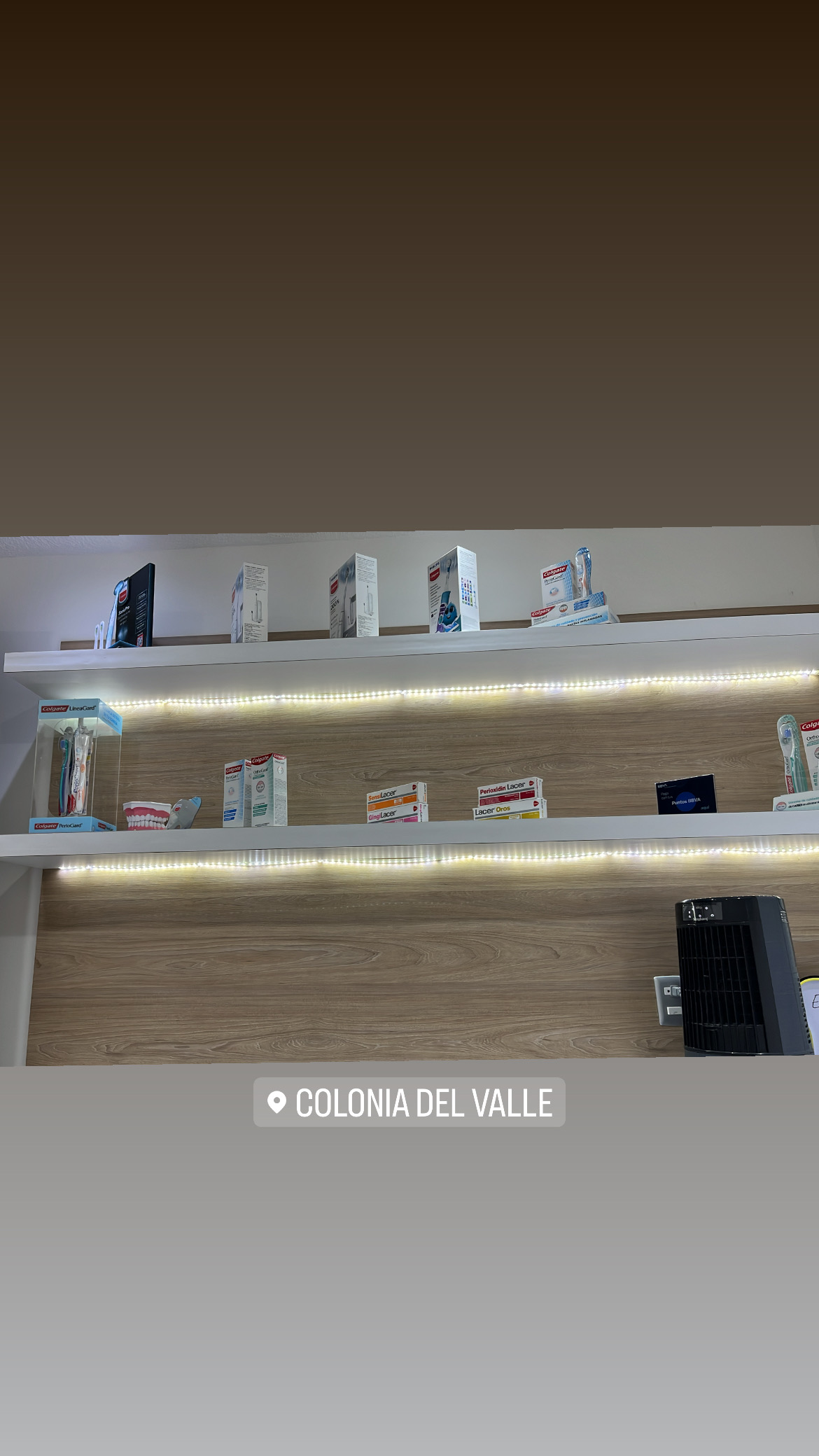 Odontólogo/ Dentista / Especialista en Endodoncia - Dra. Roxana Muñoz Torres, Otras zonas