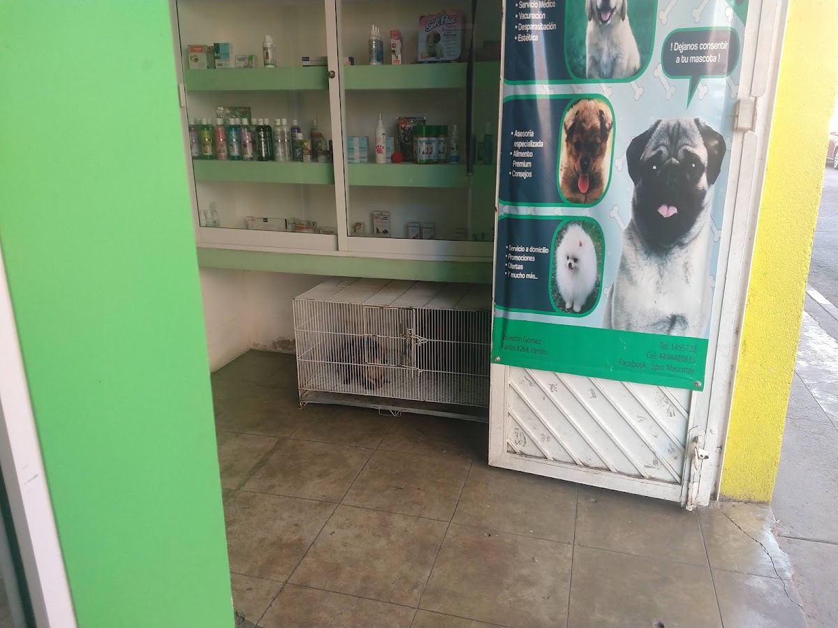 SPOT Mascotas, Centro