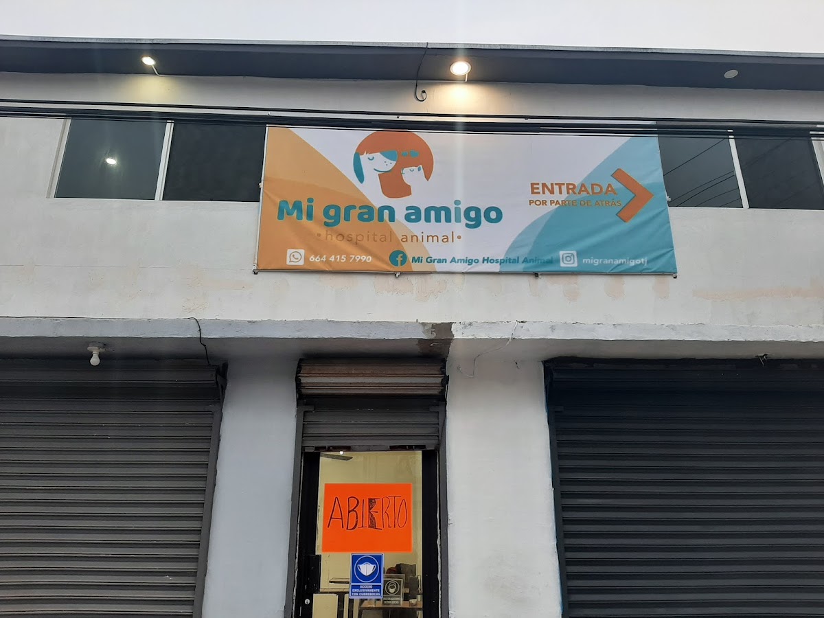 Mi Gran Amigo Hospital Animal, Otras zonas