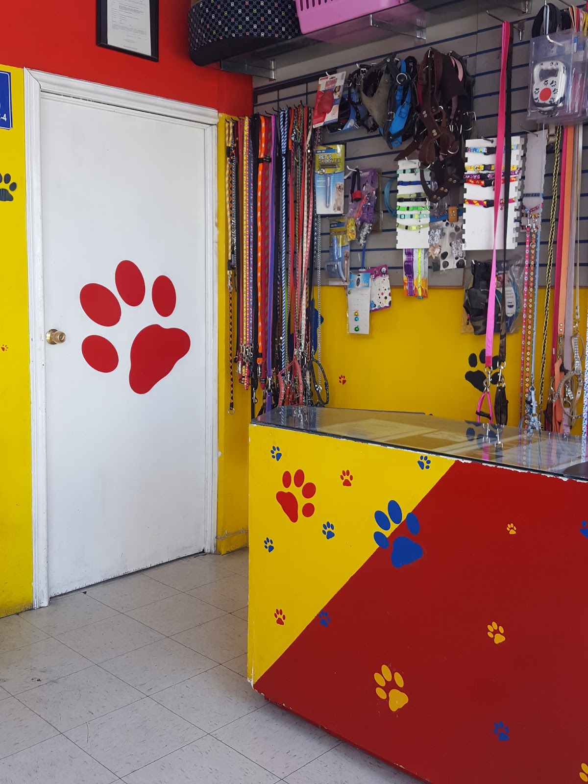 Mascotitas Clinica Veterinaria, Sur