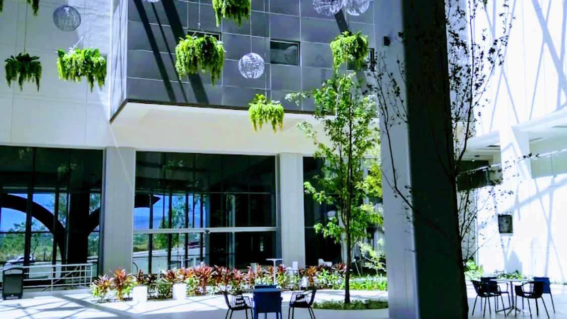 Dra. Cancino Gine, Zapopan