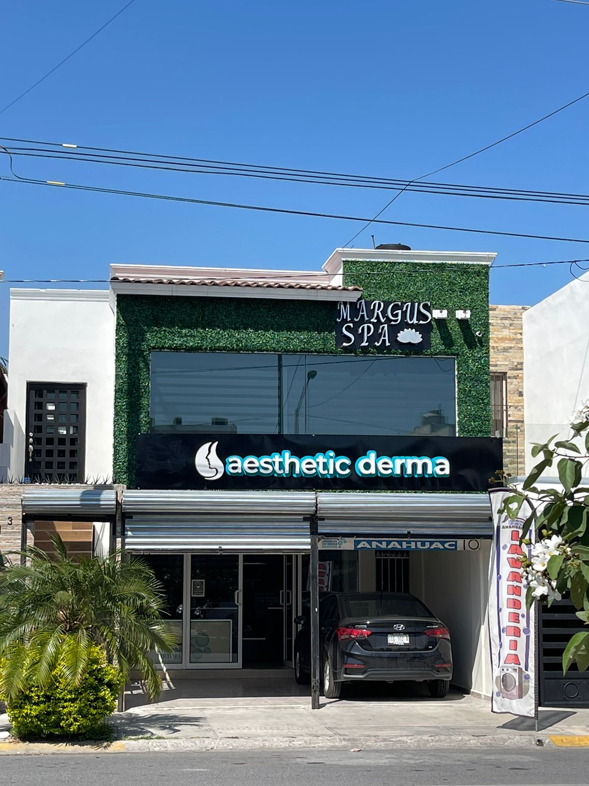 Aesthetic Derma - Dra. Alejandra Castañeda, Otras zonas