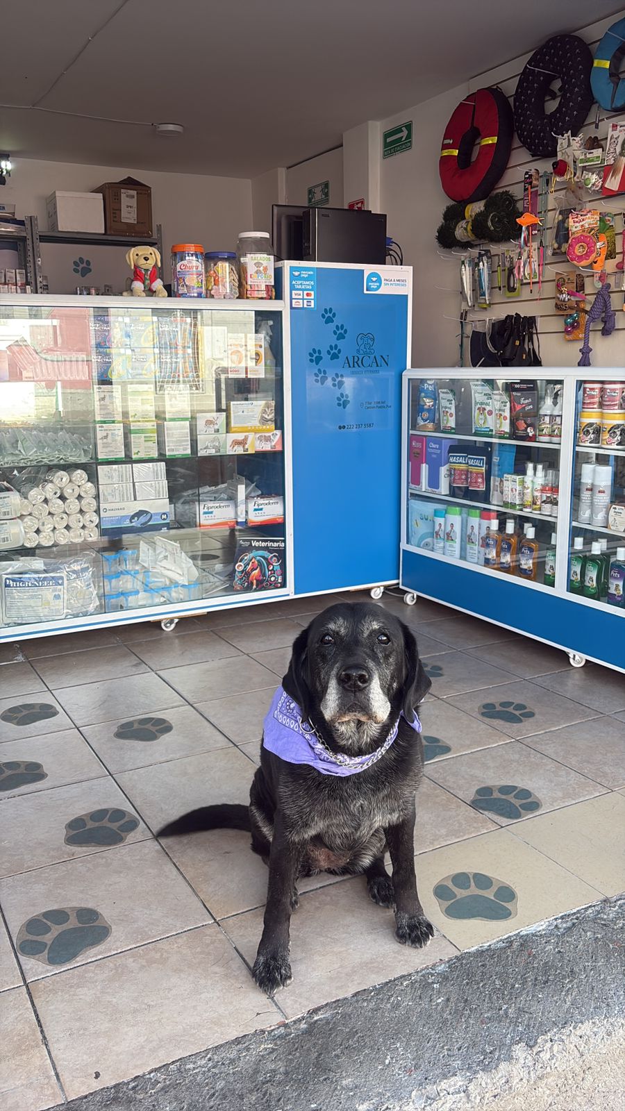 Arcan farmacia veterinaria, Centro Histórico