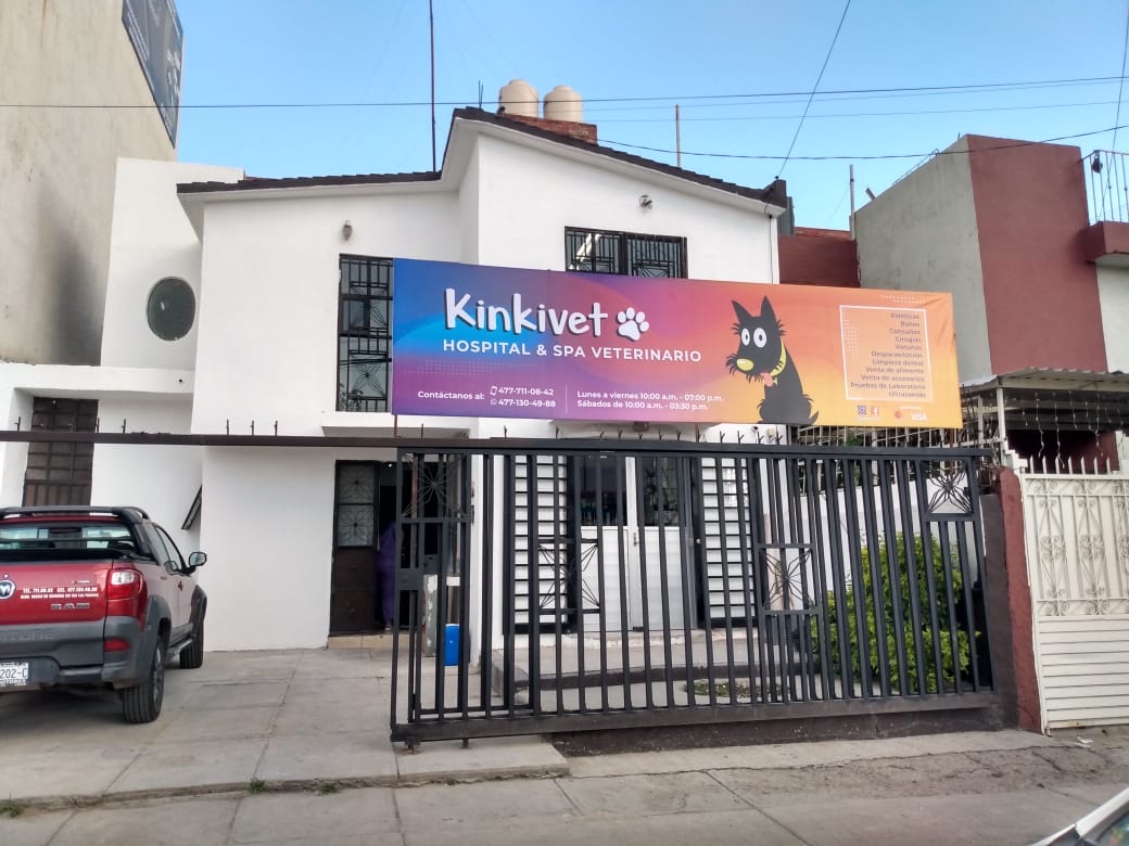 Hospital Veterinario Kinkivet, Otras zonas