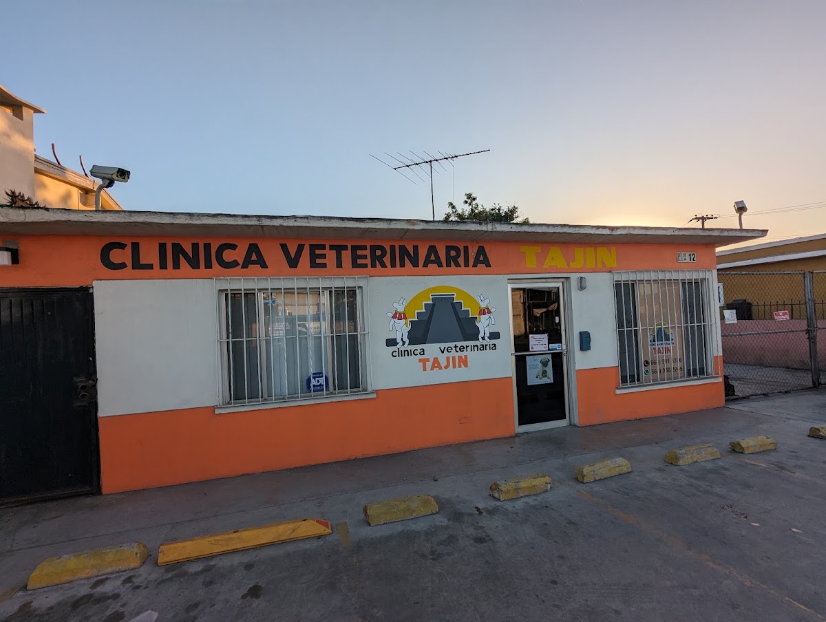 Clínica Veterinaria Tajín, Otras zonas