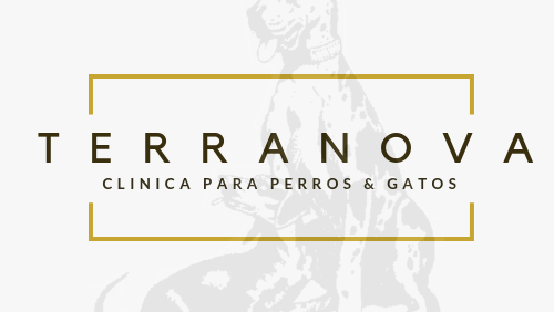 Veterinaria Terranova, Otras zonas