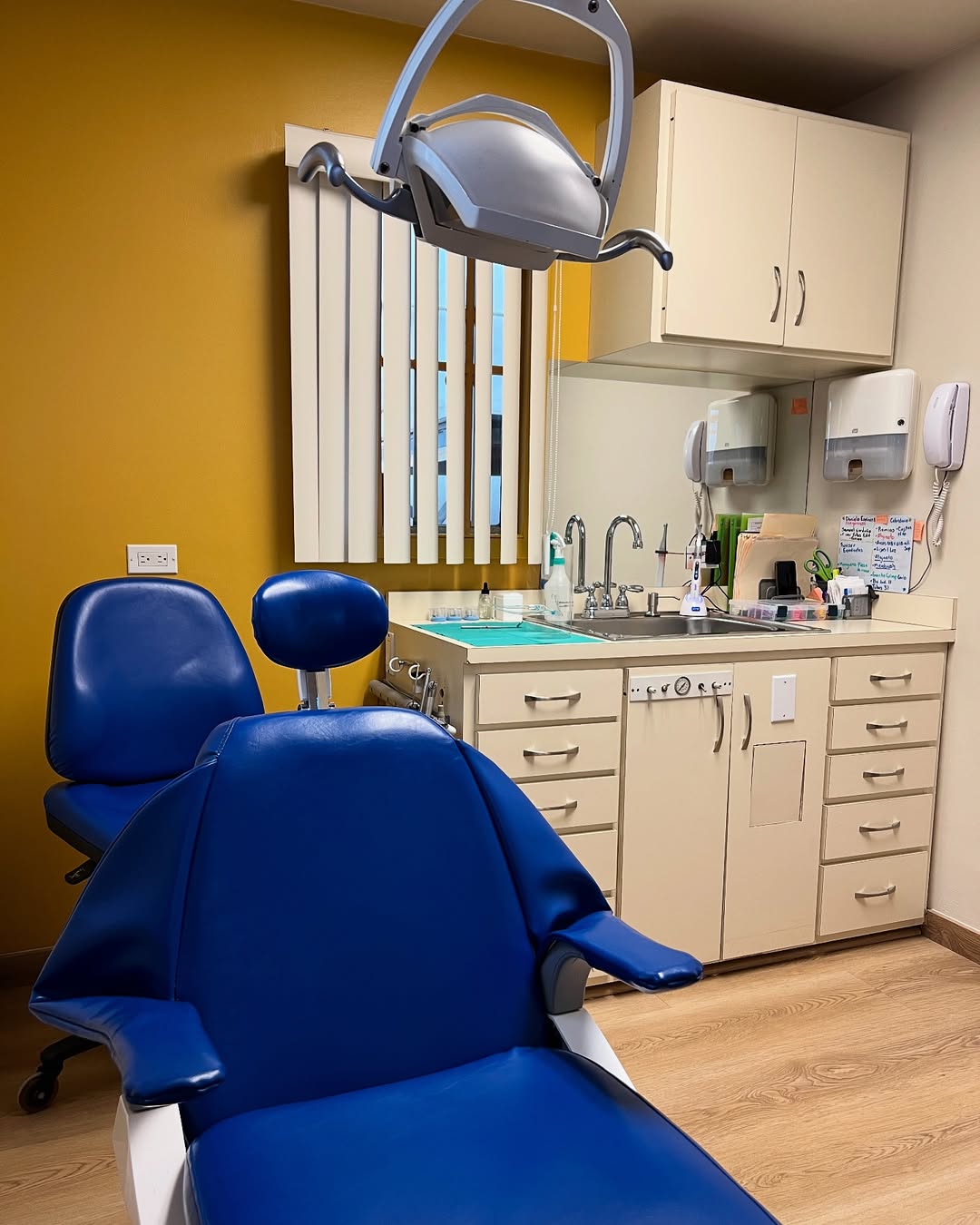 Orthodontic Art, Otras zonas