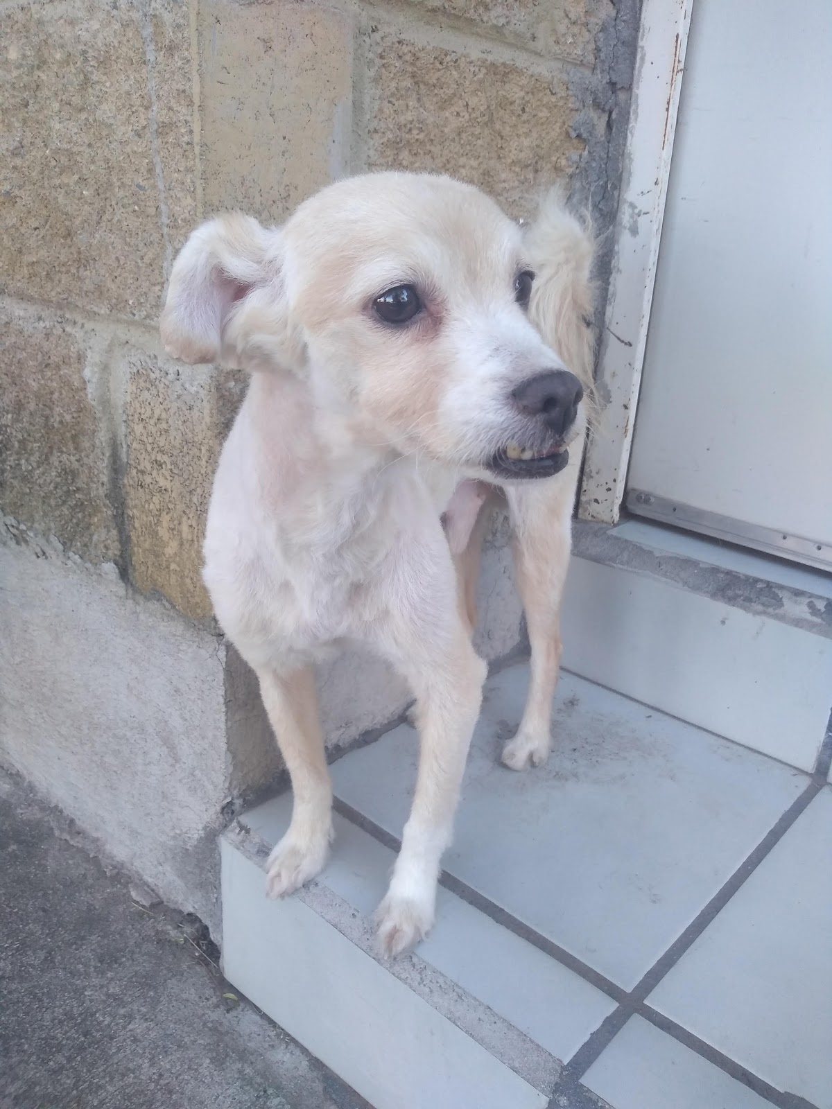 Hospital veterinario santa anita, Otras zonas