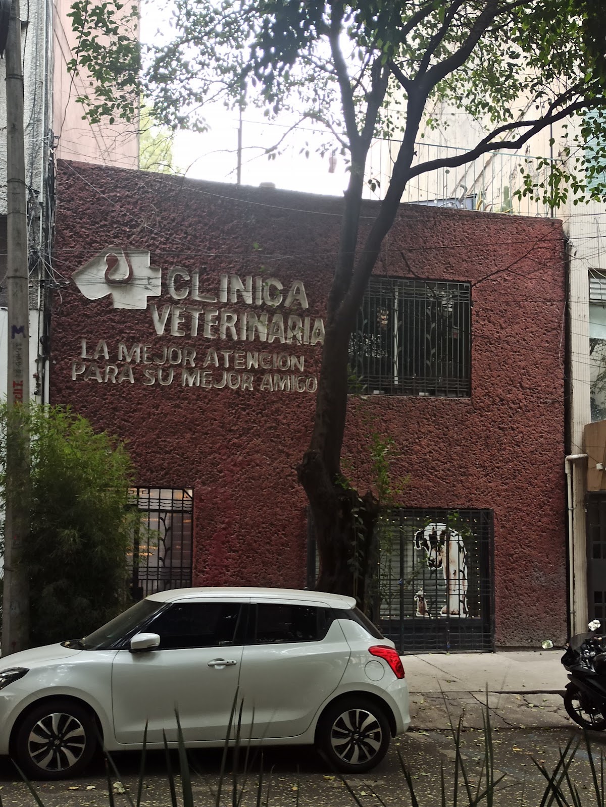Clinica Veterinaria Amsterdam, Condesa