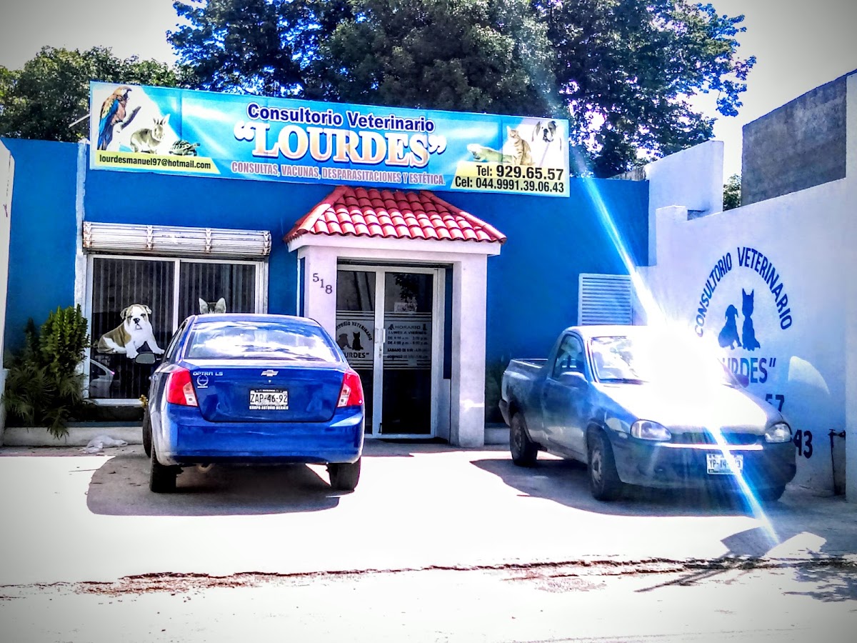 Consultorio Veterinario "LOURDES", Centro de Mérida