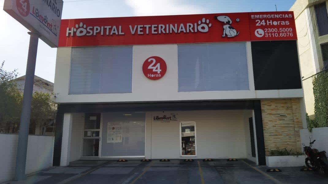 Hospital Veterinario Lomont Patria (Oftalmología, Traumatología, Ortopedía…, Zapopan