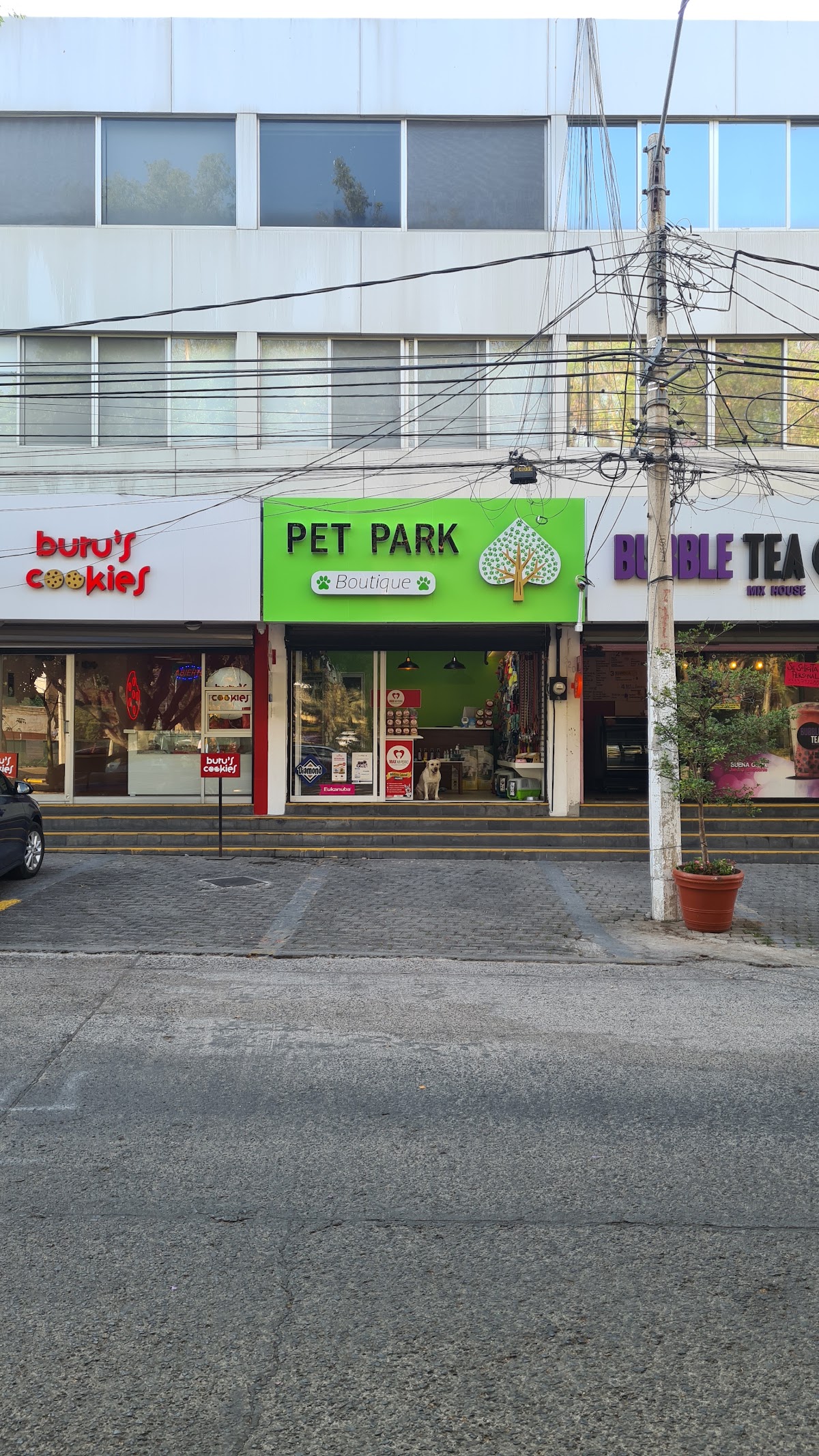 Pet park, Providencia