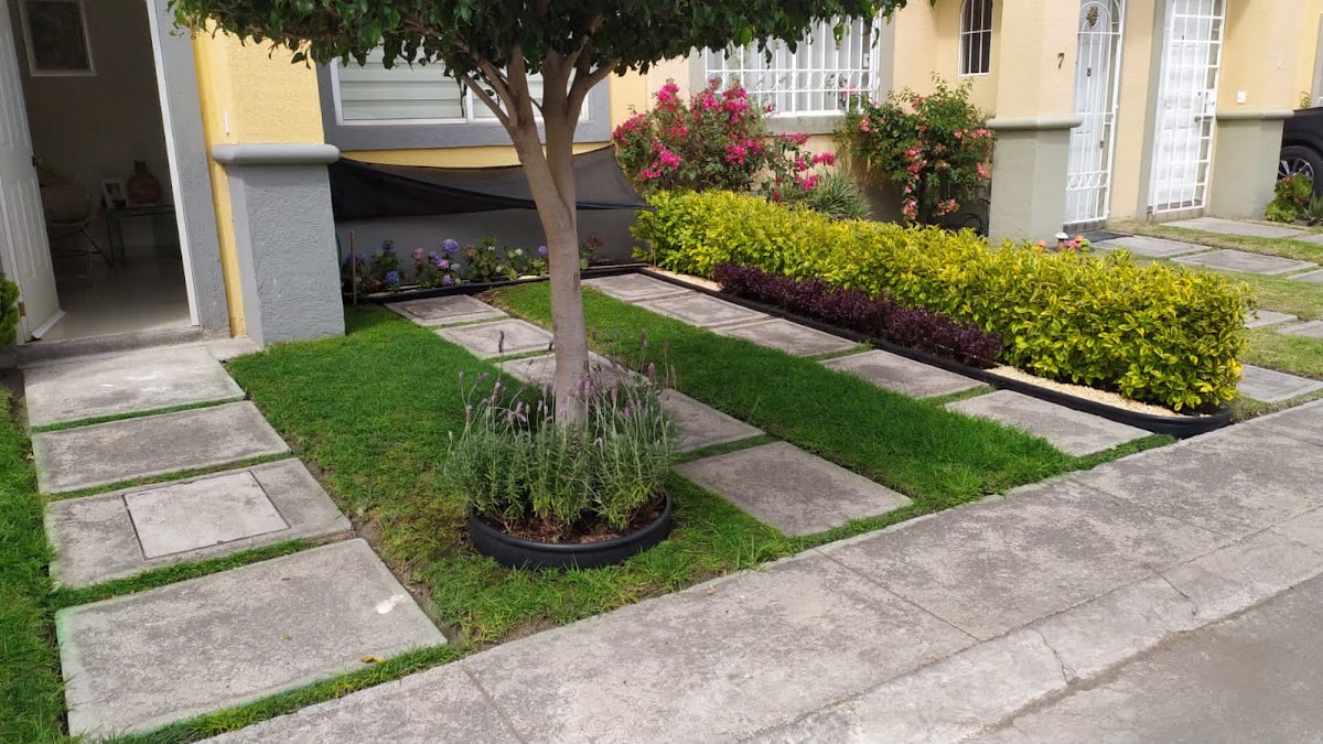 Jardify Jardinería y Paisajismo Condesa, Condesa