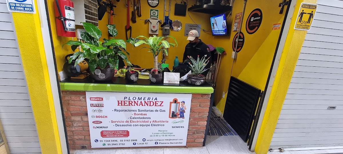 Plomería Hernández, Otras zonas