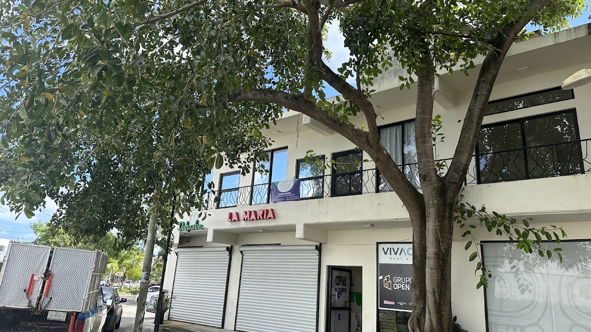 Smile Dental Care, Otras zonas