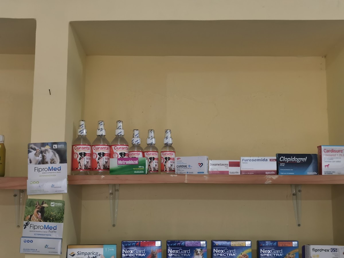 Clinica Veterinaria Kroqueta, Zapopan