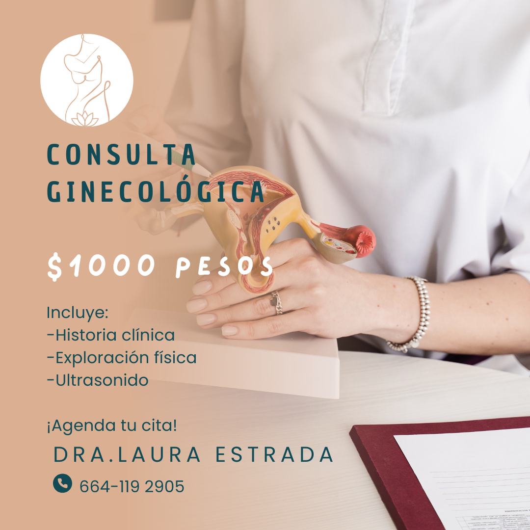 Dra. Laura Estrada Maldonado, Ginecóloga en Tijuana, Otras zonas