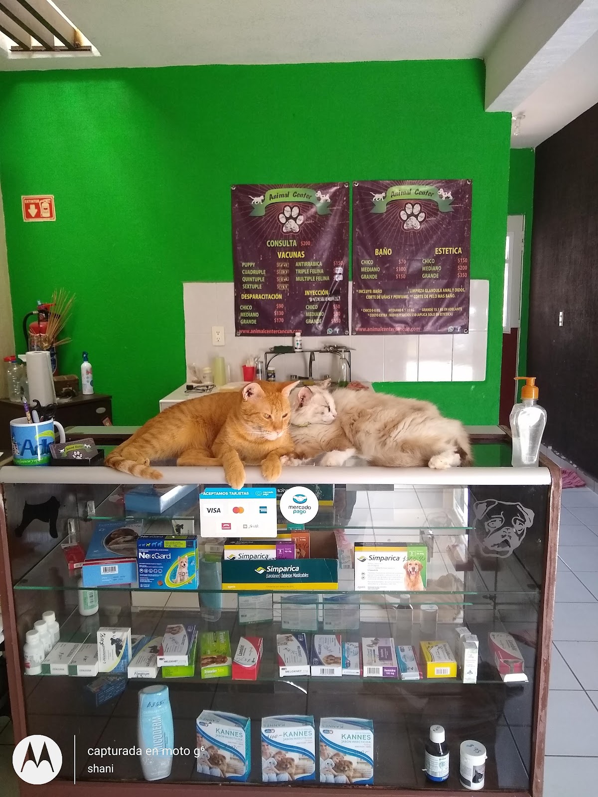 Animal Center Cancún, Otras zonas